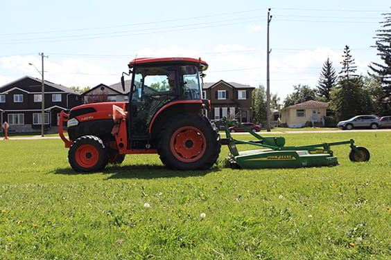 Grass Mowing services