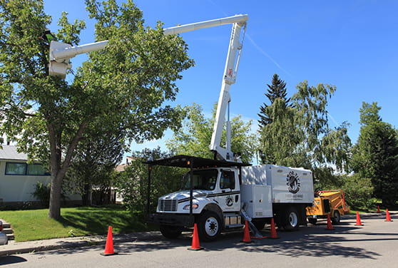 Bucket truck with arial lift