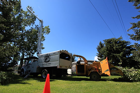 Arbor-Tech tree branch chipping