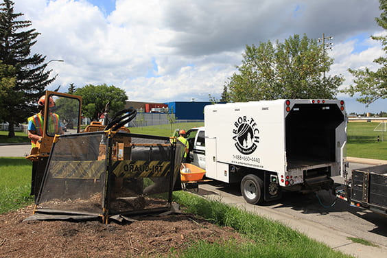 Arbor-Tech stump grinding services