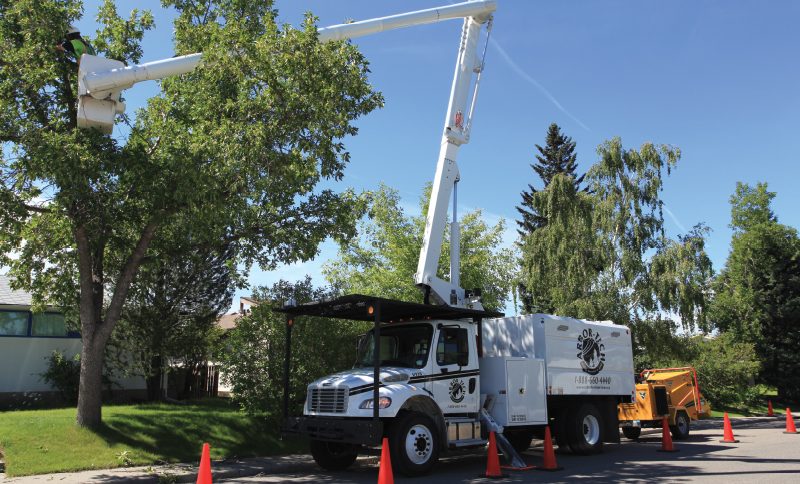 Aerial truck trimming tree