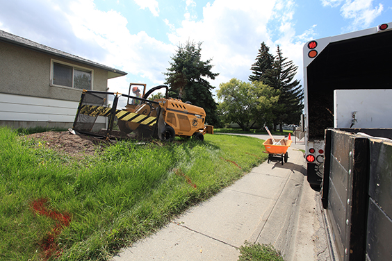 Stump grinding services