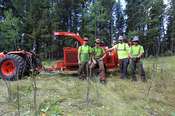 Our Vegetation Management team